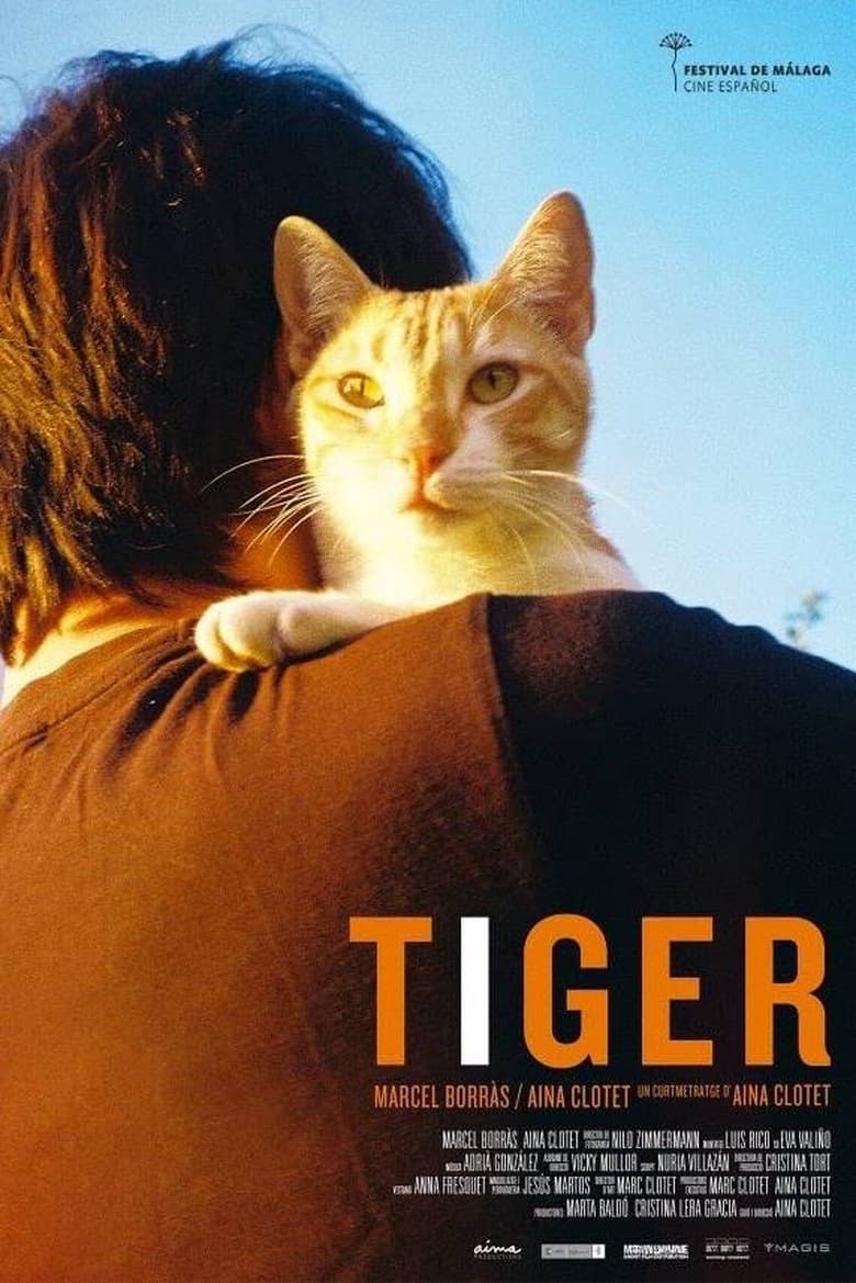 Poster of Tiger