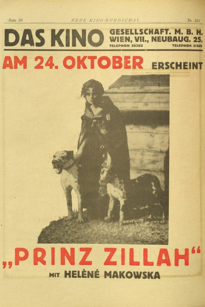 Poster of Il principe Zilah