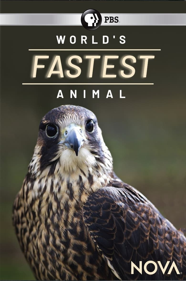 Poster of World's Fastest Animal