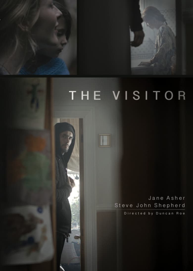 Poster of The Visitor