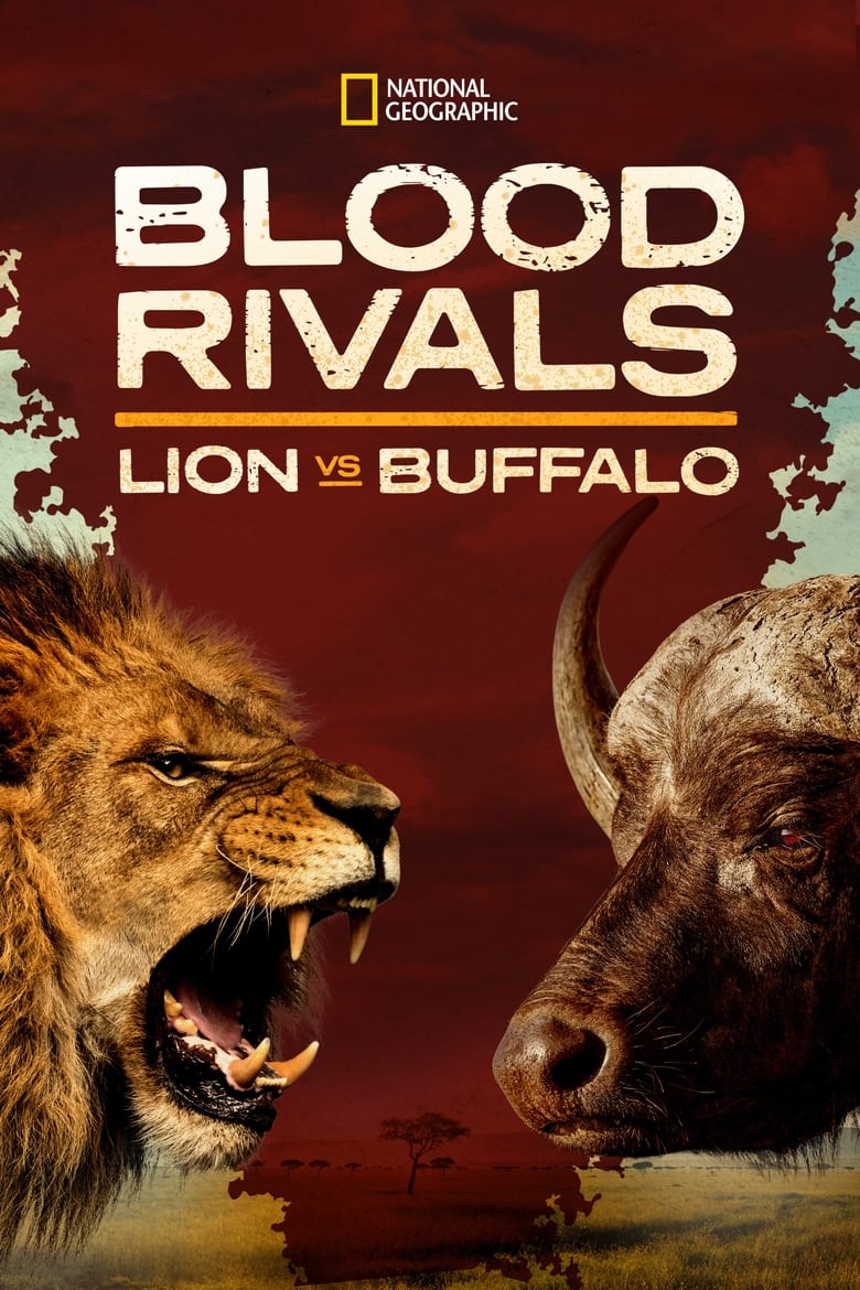 Poster of Blood Rivals: Lion vs Buffalo