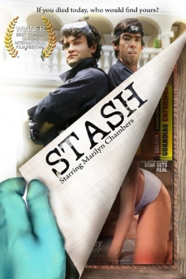 Poster of Stash