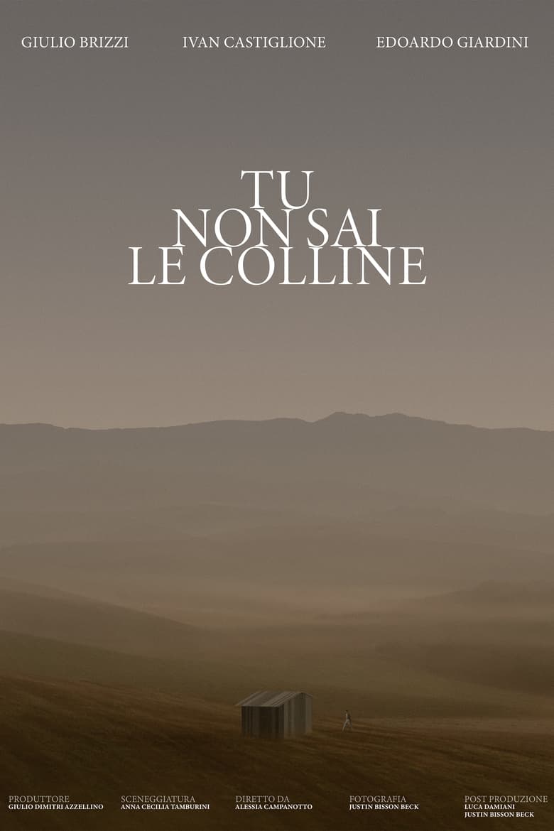 Poster of TU NON SAI LE COLLINE