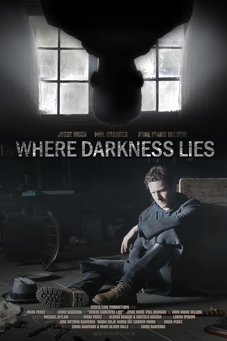 Poster of Where Darkness Lies