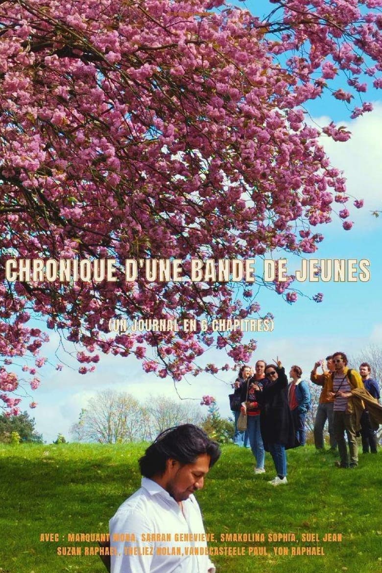 Poster of Chronique d'une bande de jeunes (un journal en 6 chapitres)