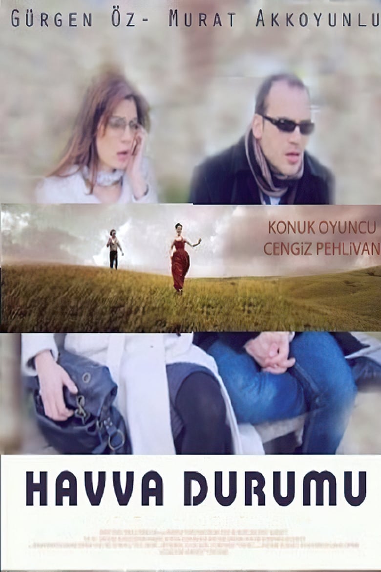 Poster of Havva Durumu