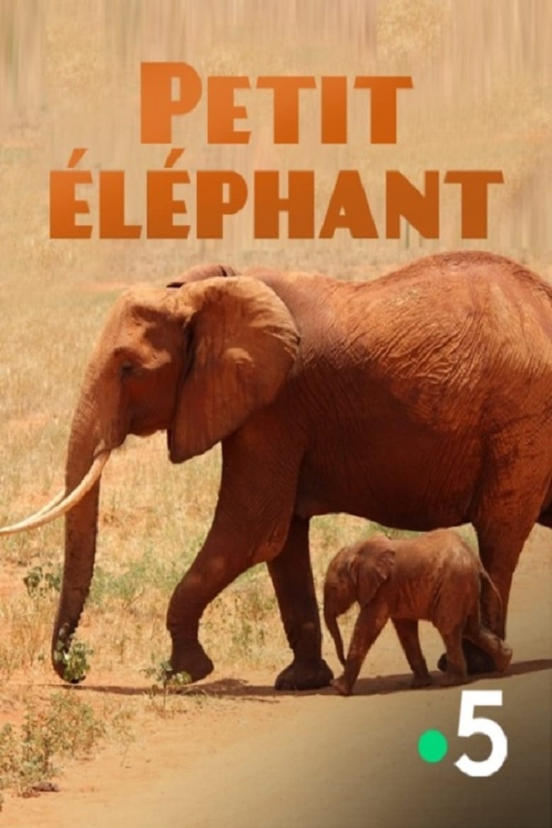 Poster of Small Elephant