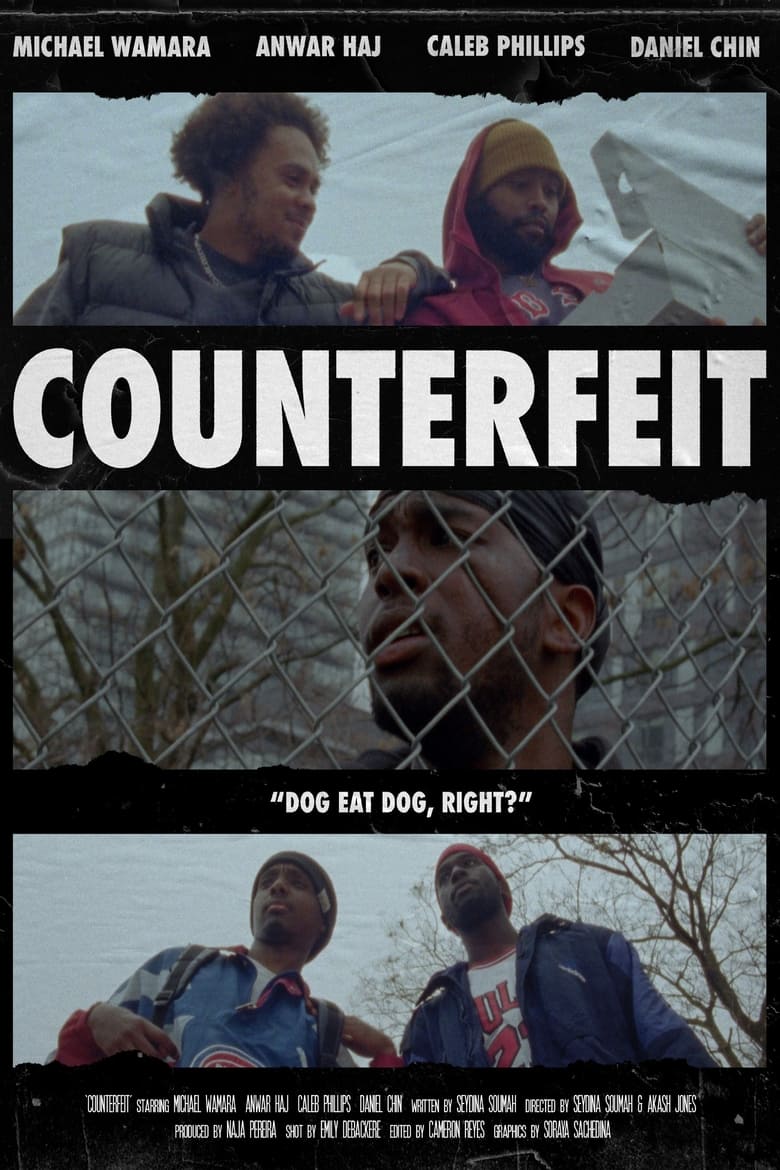 Poster of Counterfeit