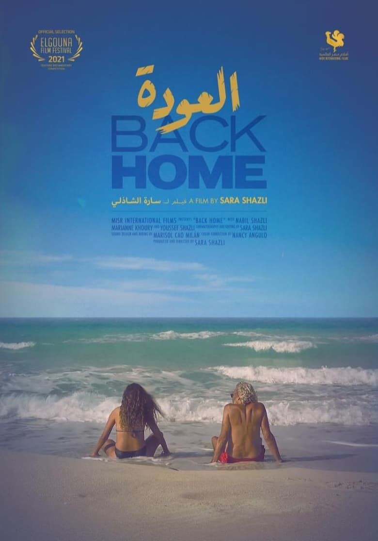 Poster of Back Home