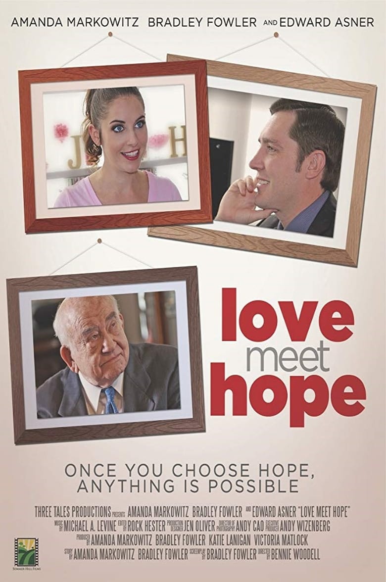 Poster of Love Meet Hope