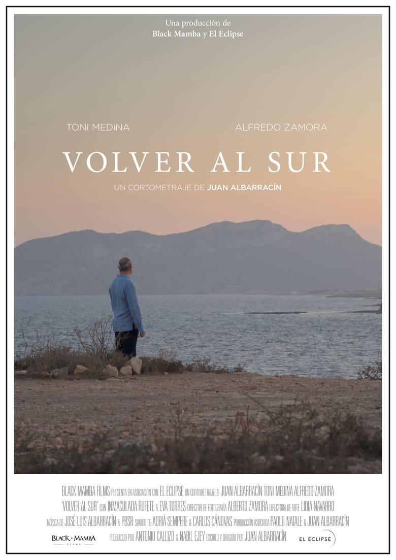 Poster of Volver al sur