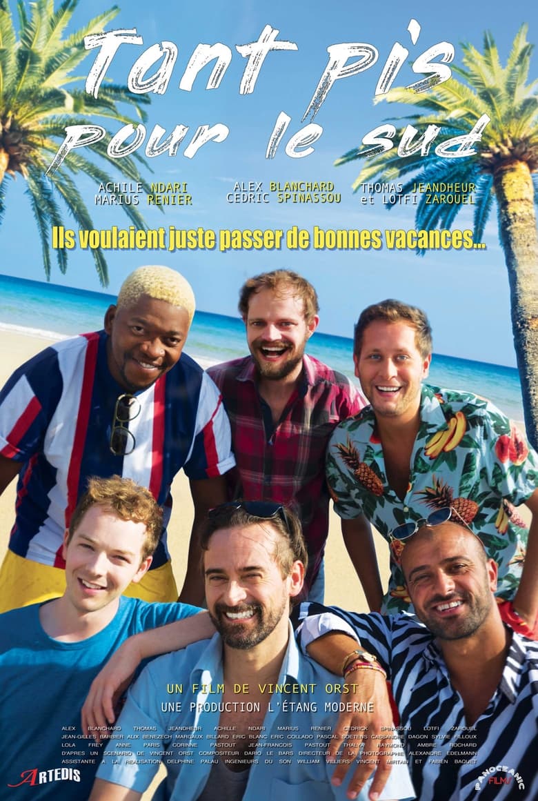 Poster of Tant pis pour le sud