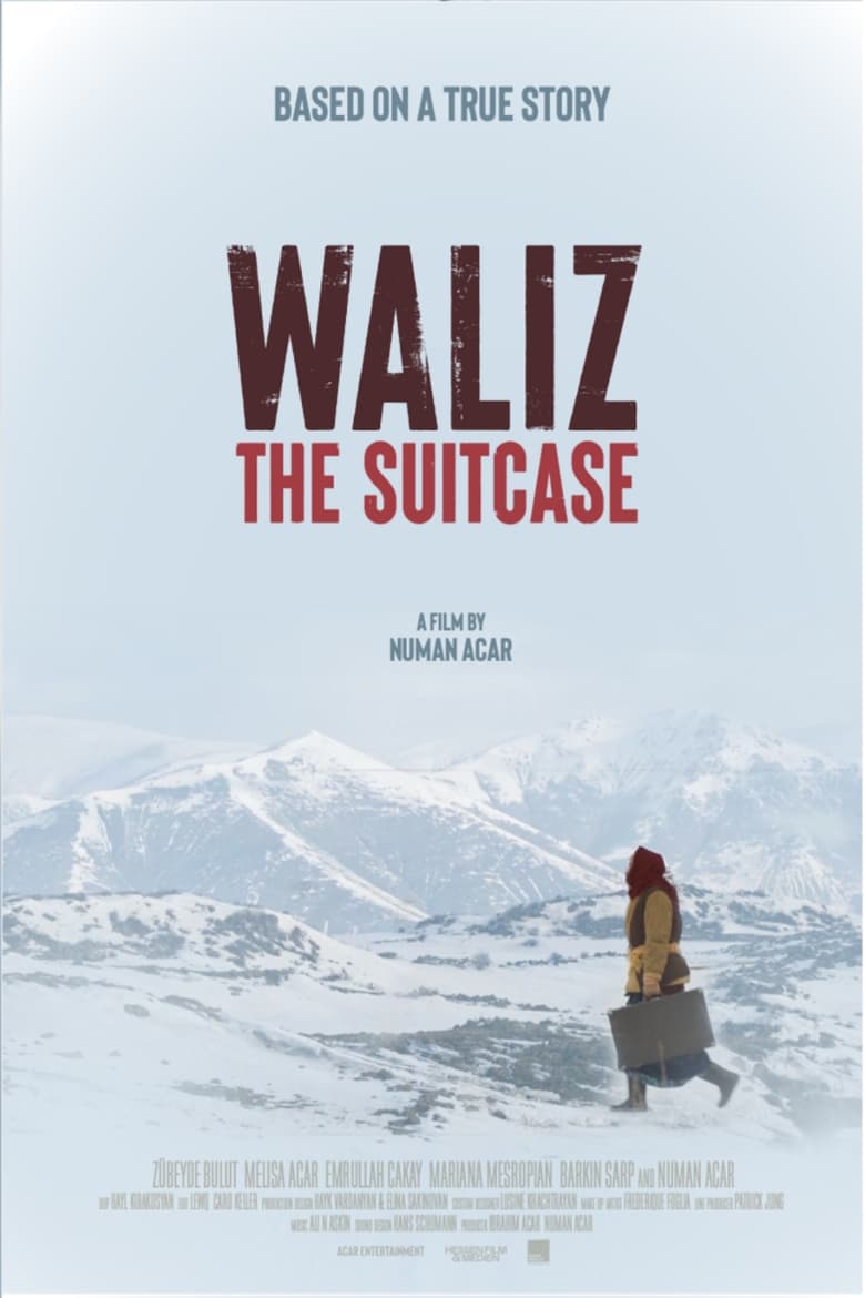 Poster of The Suitcase