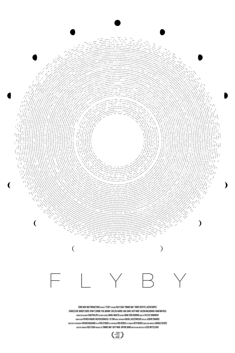 Poster of Flyby