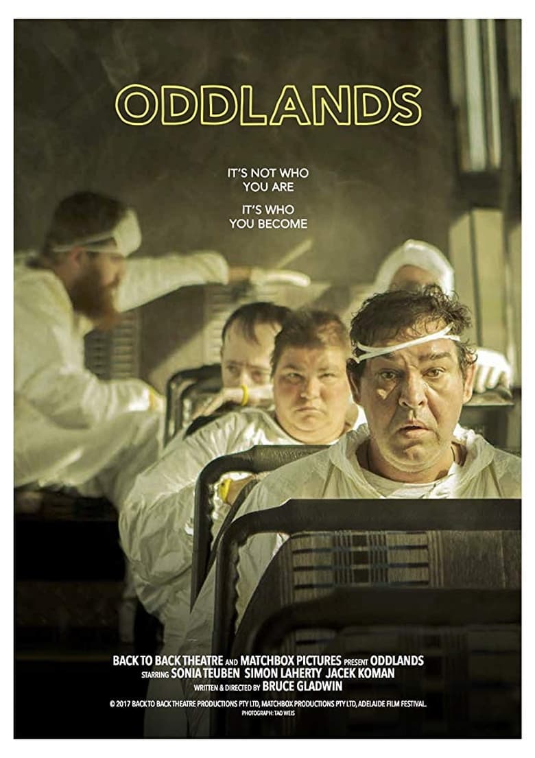 Poster of Oddlands