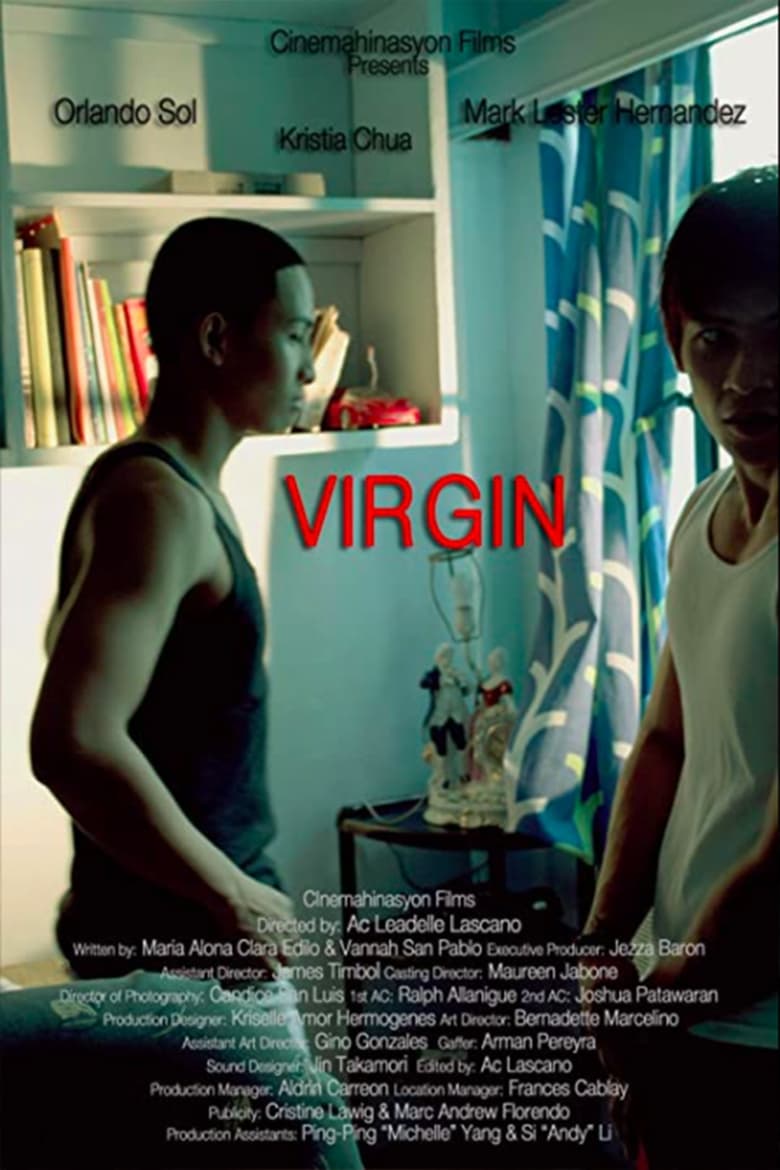 Poster of Virgin