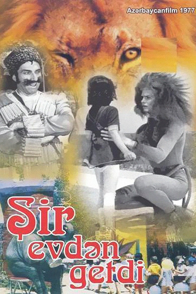 Poster of The Lion Ran Away from the House