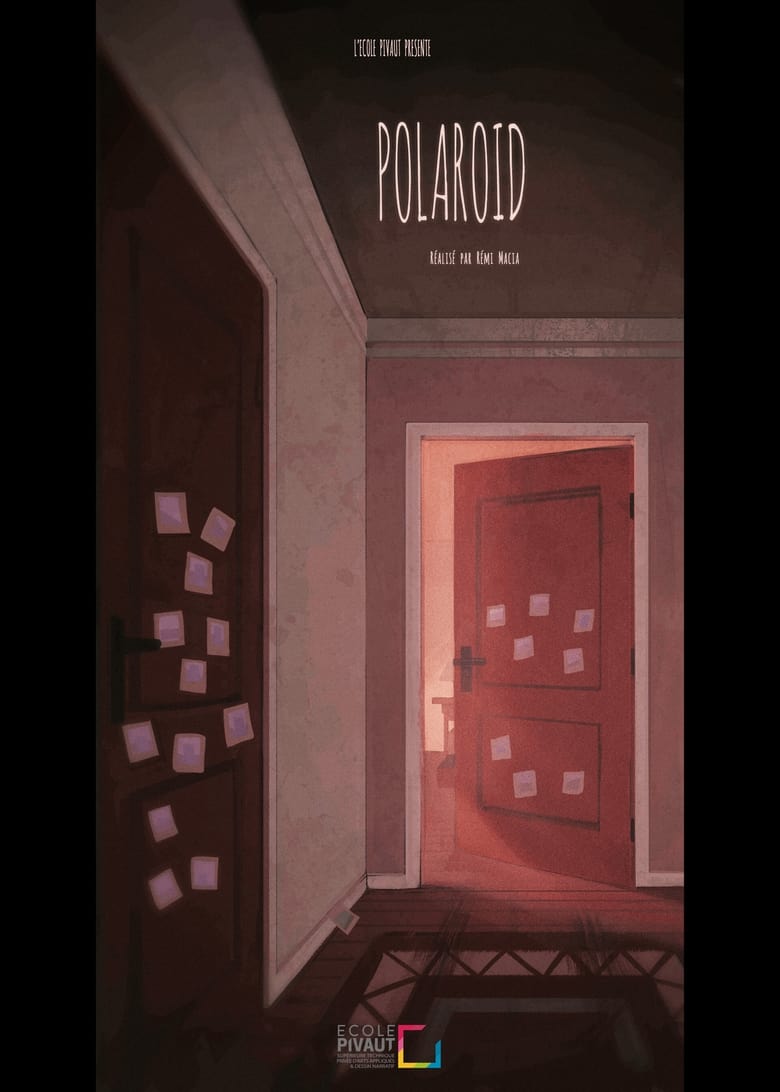 Poster of Polaroïd