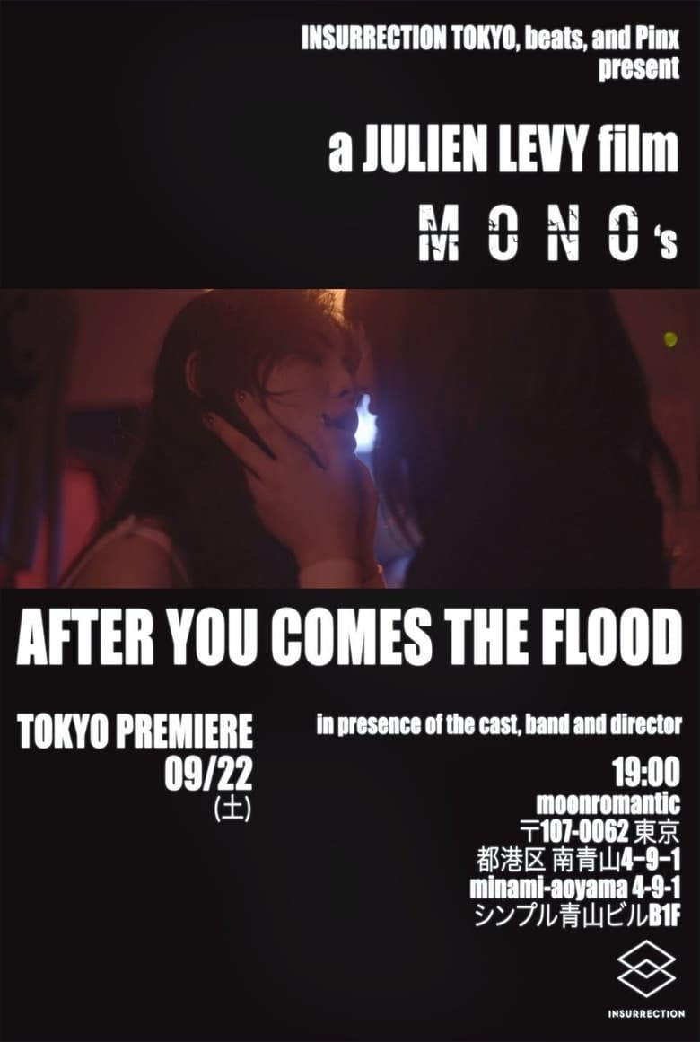 Poster of After You Comes the Flood