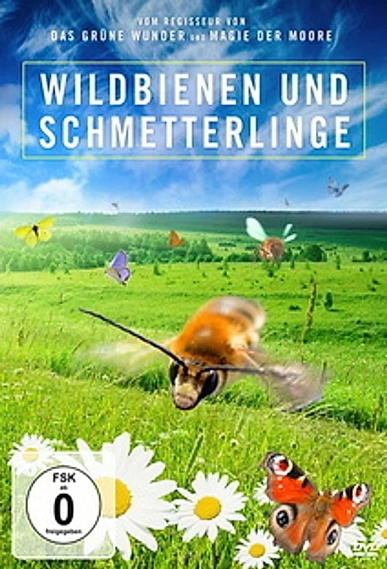 Poster of Kinder der Sonne - Unsere Schmetterlinge