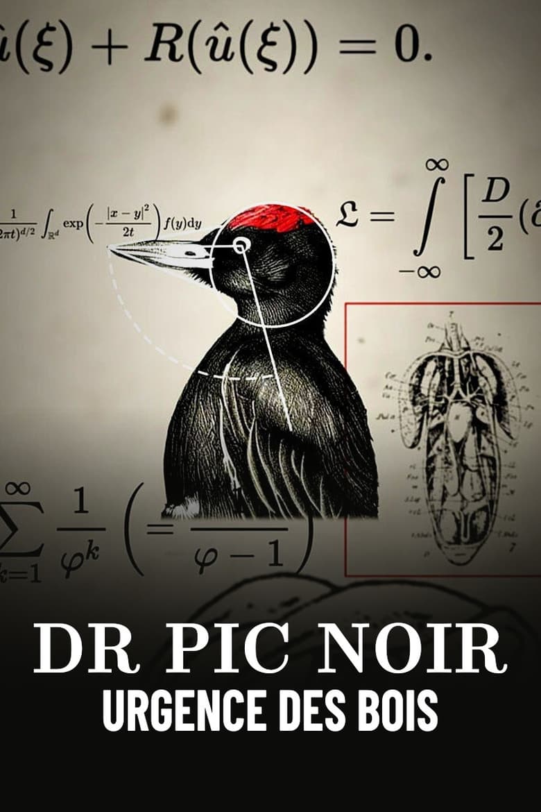 Poster of Dr Pic Noir, urgence des bois