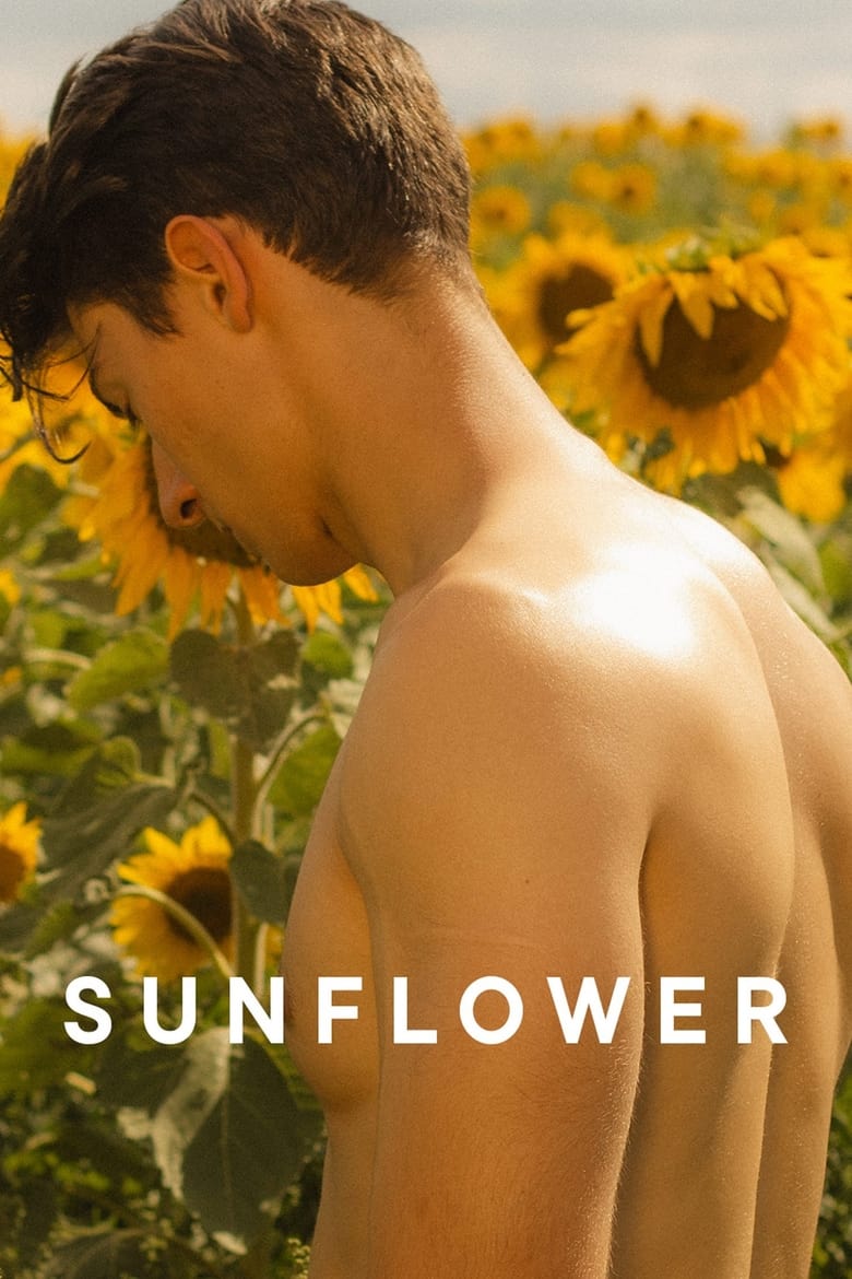 Poster of Sunflower