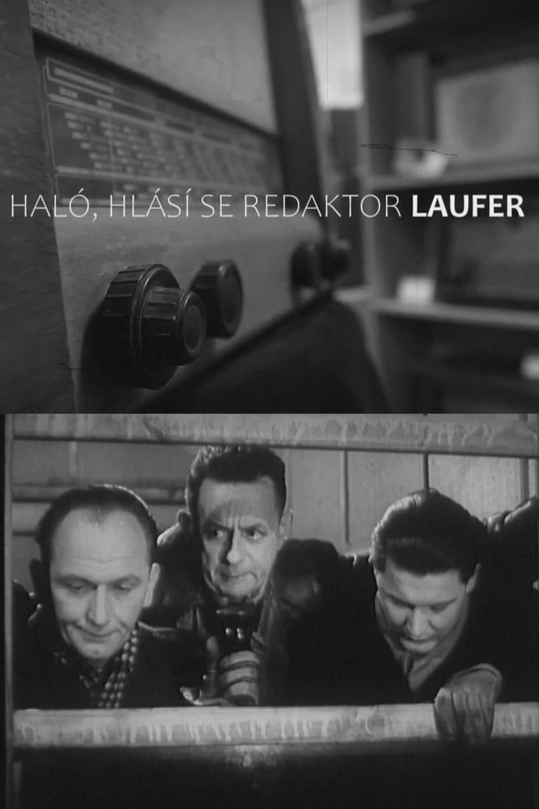 Poster of Haló, hlásí se redaktor Laufer!