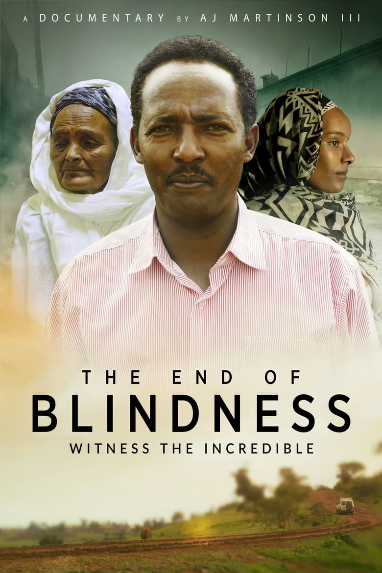 Poster of The End of Blindness