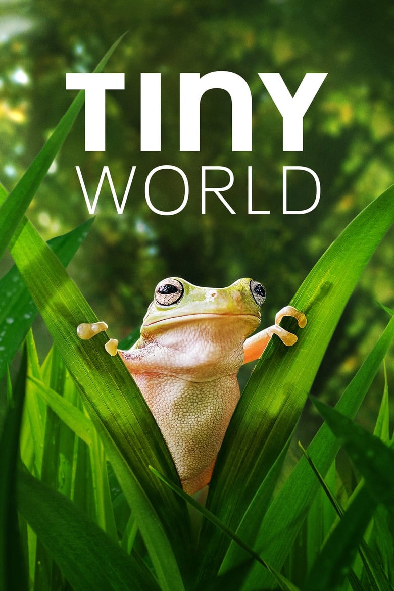 Poster of Episodes in Tiny World - Season 2 - Season 2