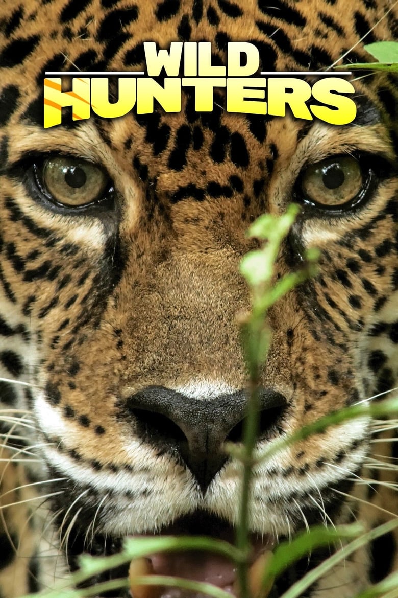 Poster of Wild Hunters