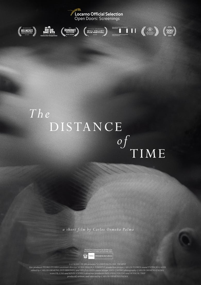 Poster of The Distance of Time