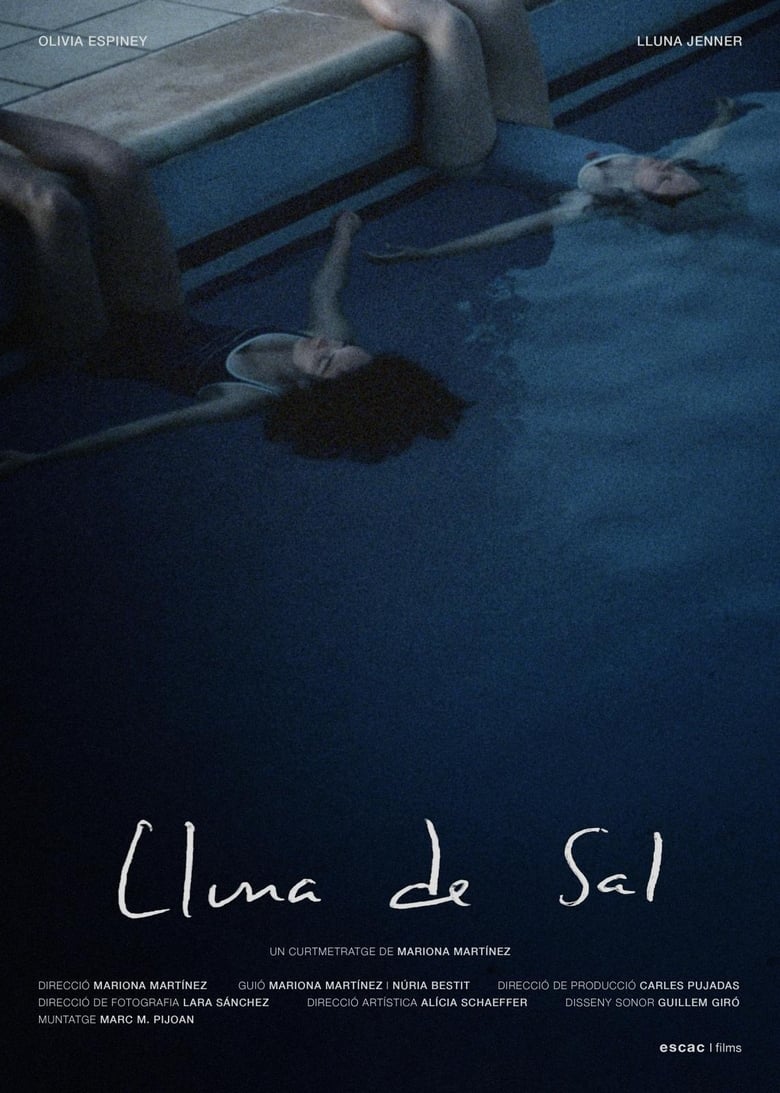 Poster of Lluna de Sal