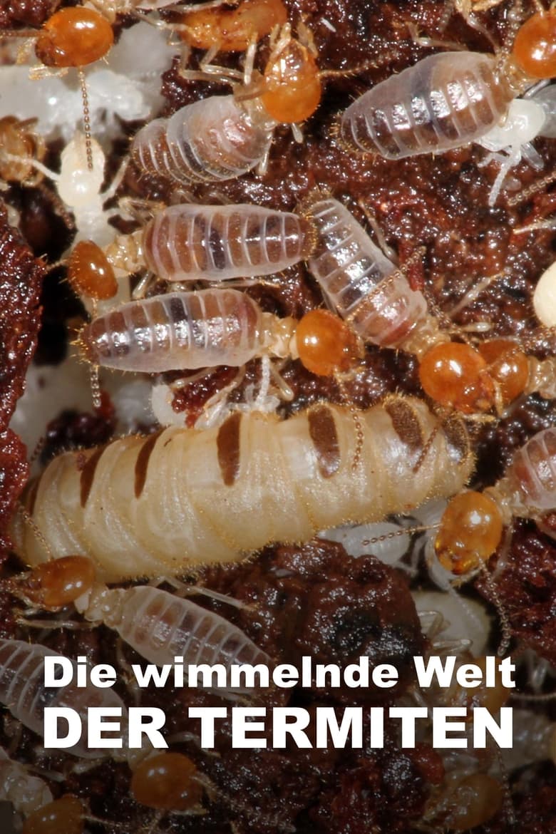 Poster of The World According to Termites