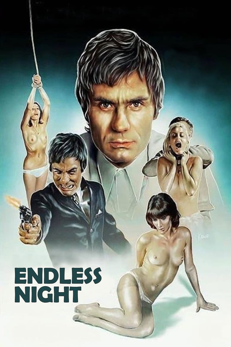 Poster of Endless Night