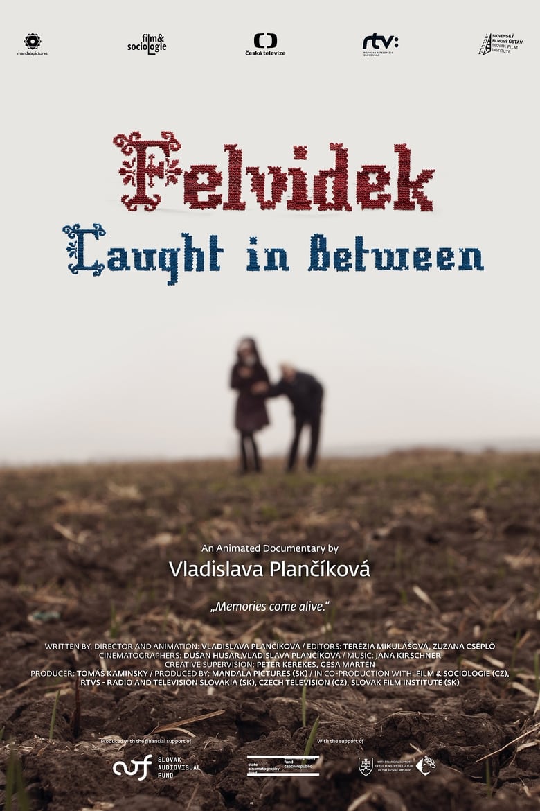 Poster of Felvidek – Caught in Between