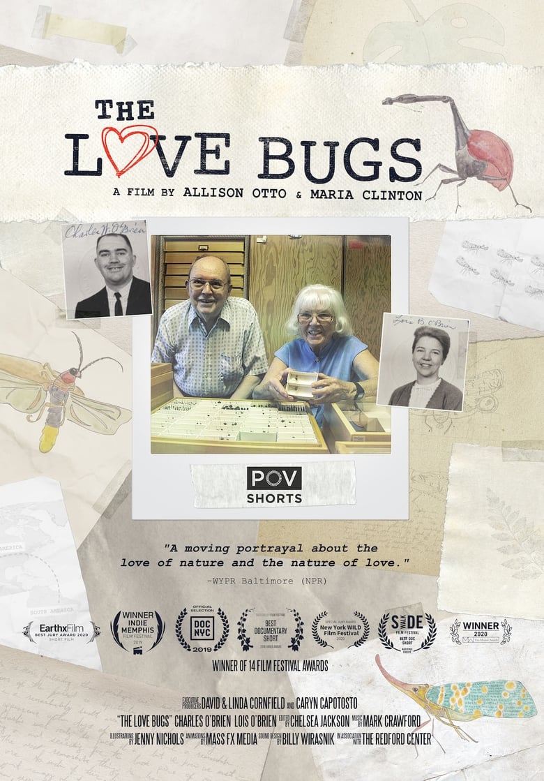 Poster of The Love Bugs