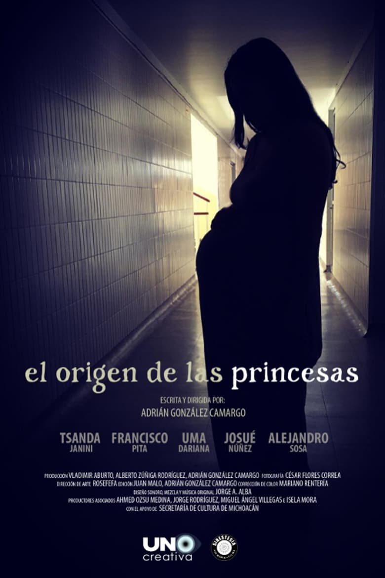 Poster of The provenance of the princesses