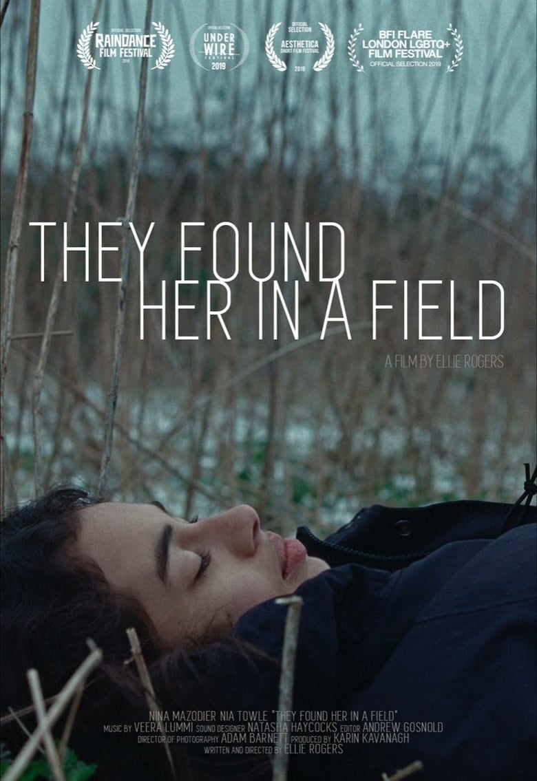 Poster of They Found Her In a Field