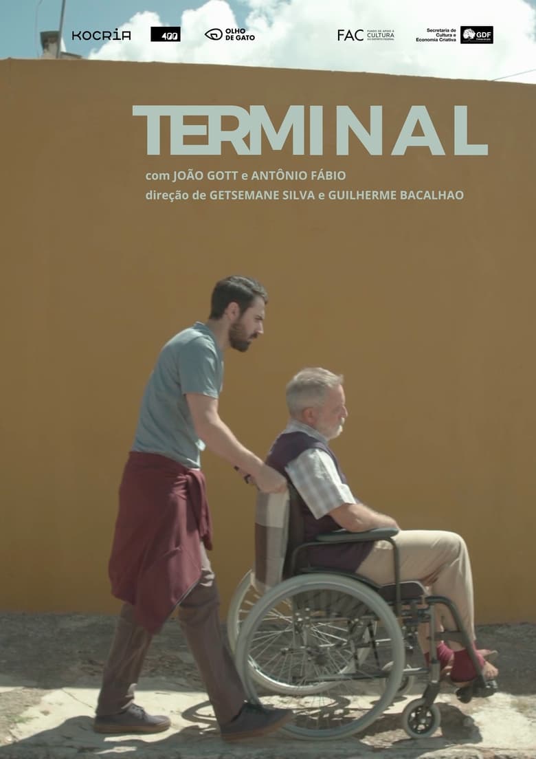 Poster of Terminal