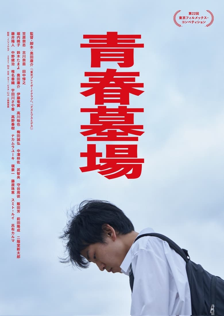 Poster of Graveyard of Youth