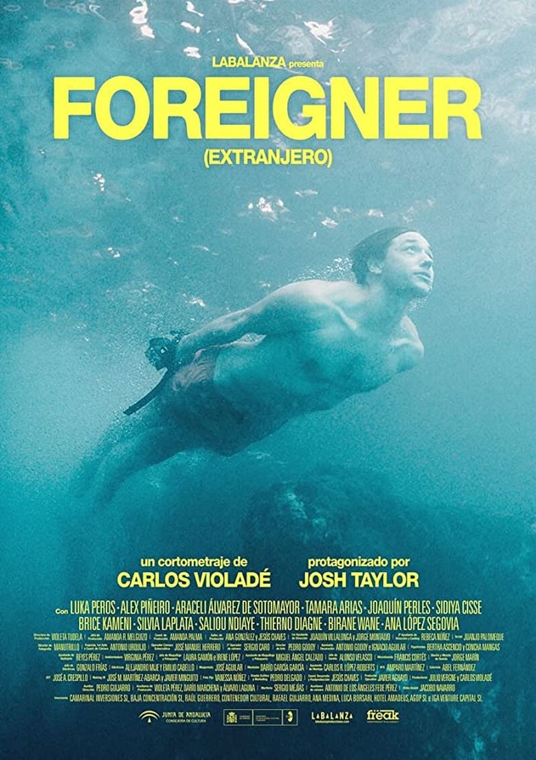 Poster of Foreigner