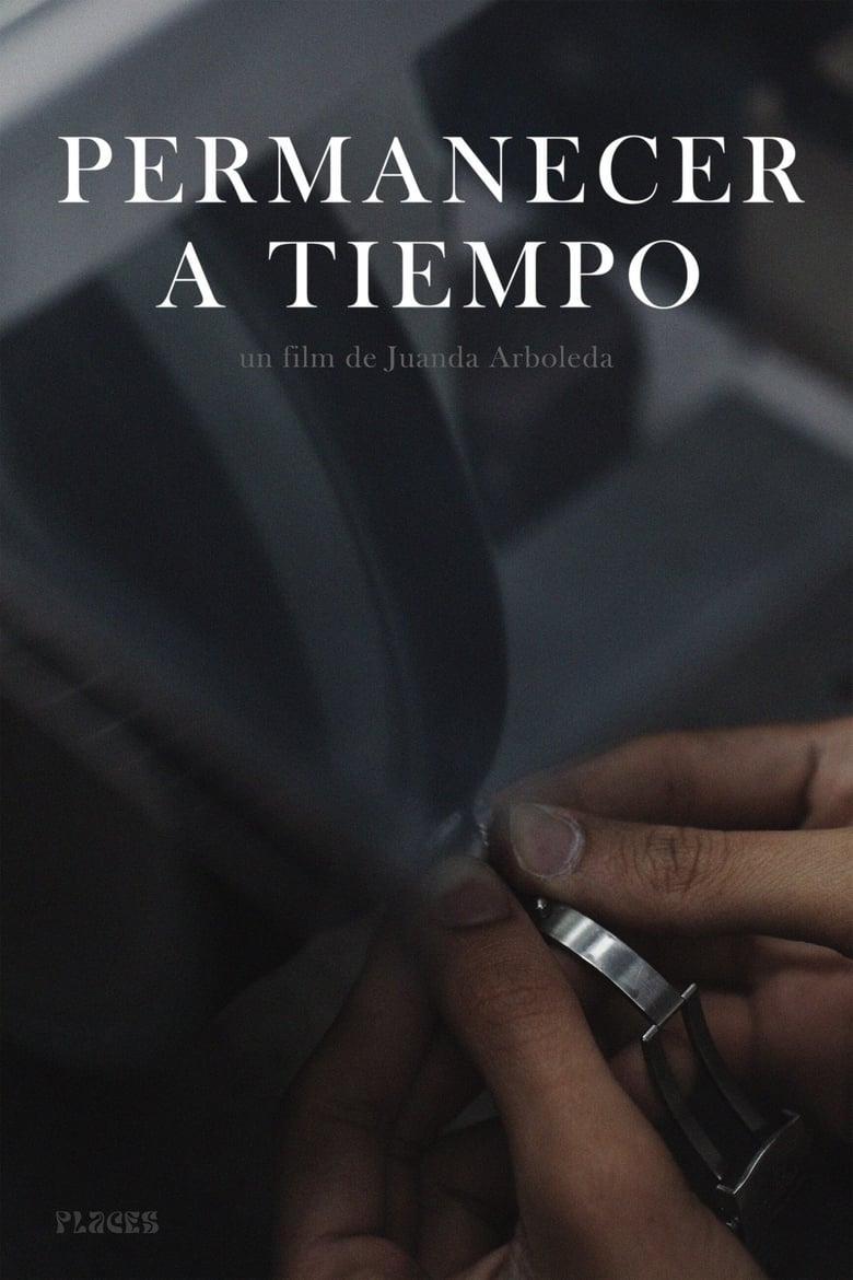 Poster of Permanecer a tiempo