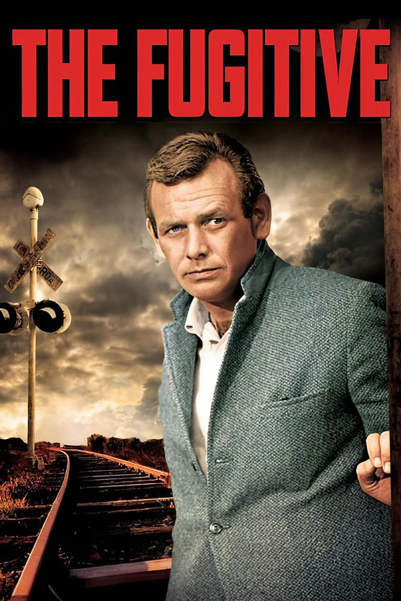 Poster of The Fugitive