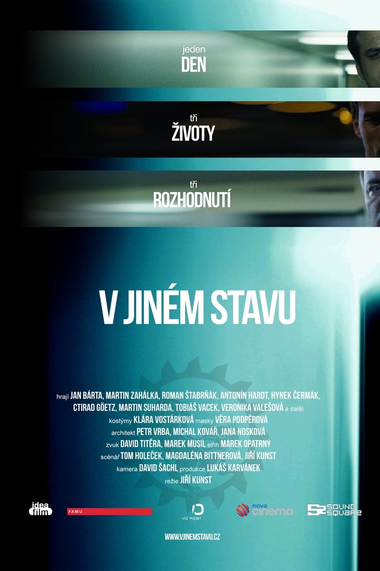 Poster of V jiném stavu