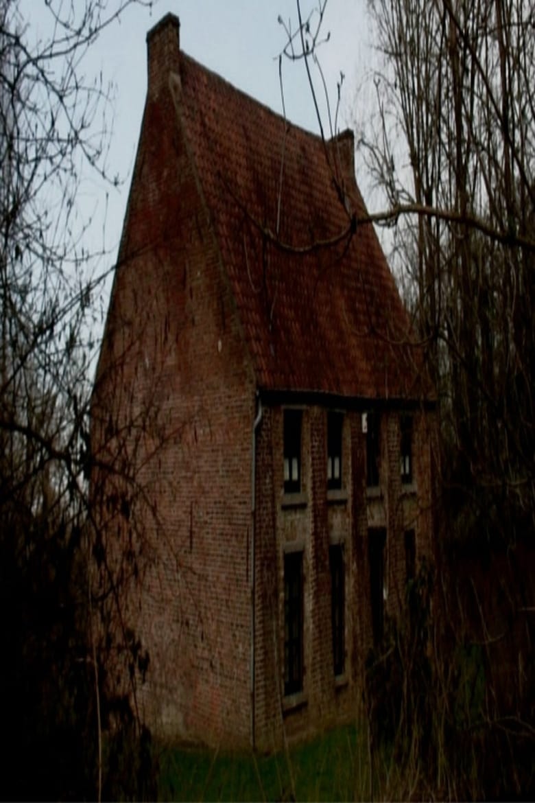 Poster of From Vincent's House in the Borinage