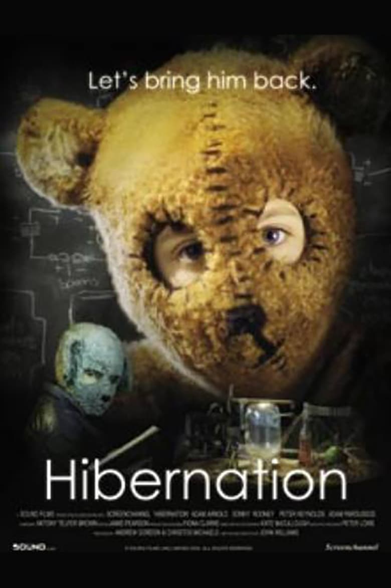 Poster of Hibernation