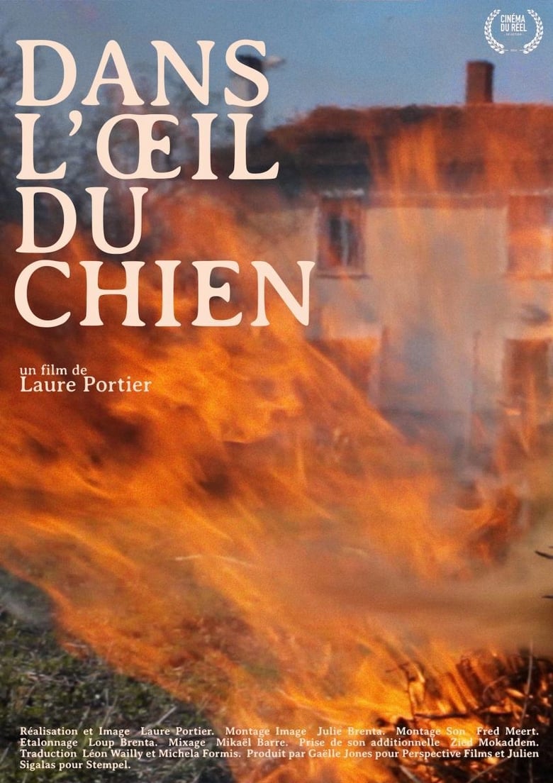 Poster of Dans l'oeil du chien