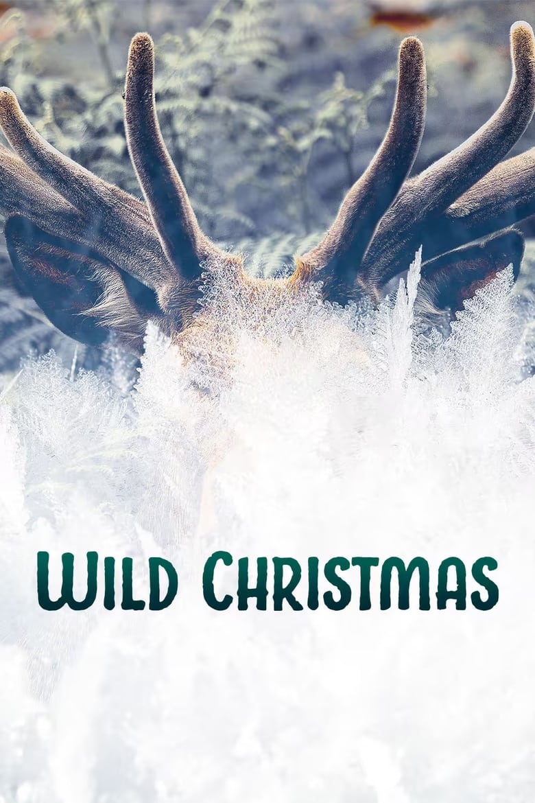 Poster of Wild Christmas