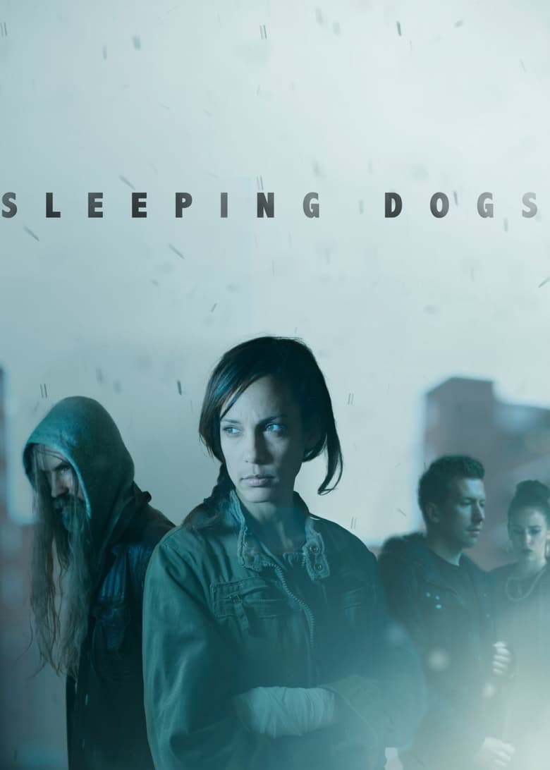 Poster of Sleeping Dogs