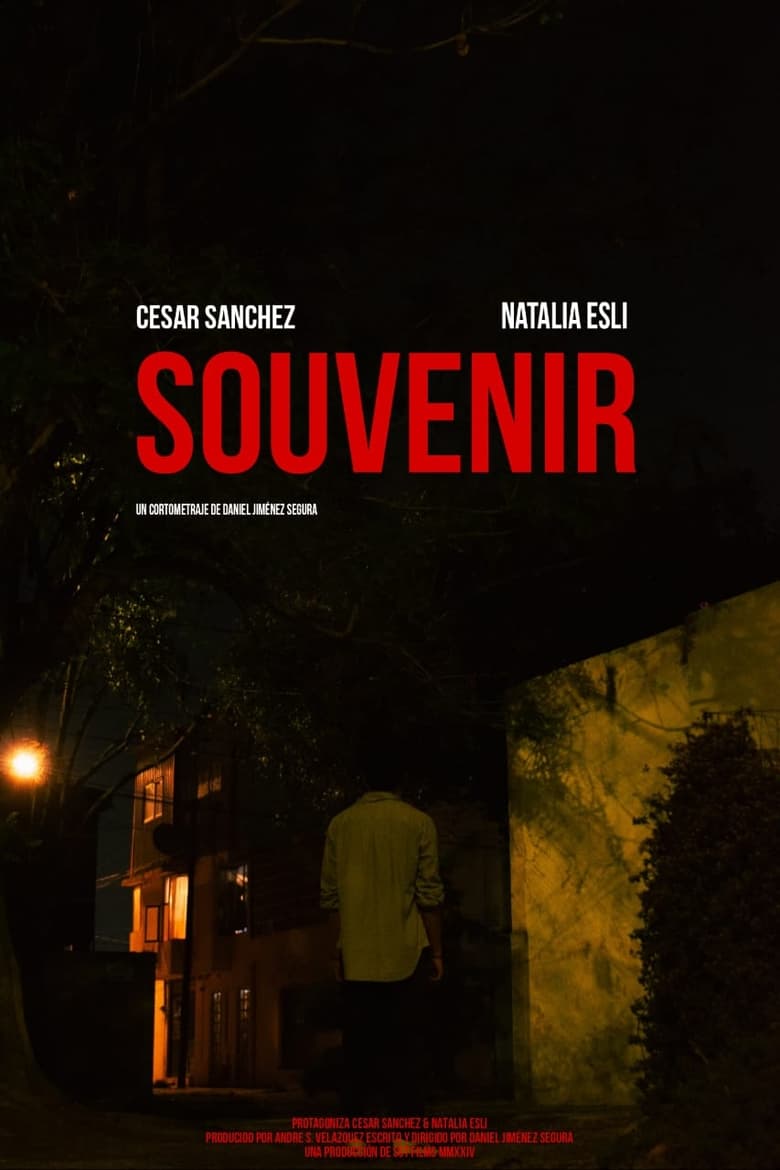 Poster of Souvenir